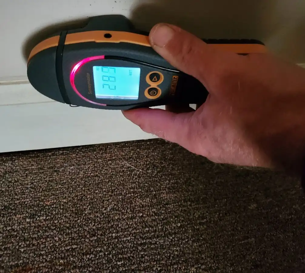 Moisture detection at baseboard during Sewage Cleanup & Sanitation in Lee